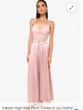 NWT Cami nyc Fabian hammered silk pants size small